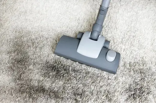 Carpet Cleaning in Camberwell
